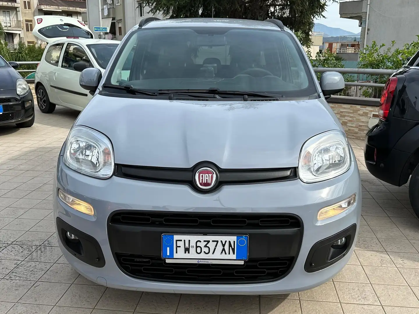 Fiat Panda Fiat Panda III serie 1.2 Lounge benzina 69cv Grigio - 2