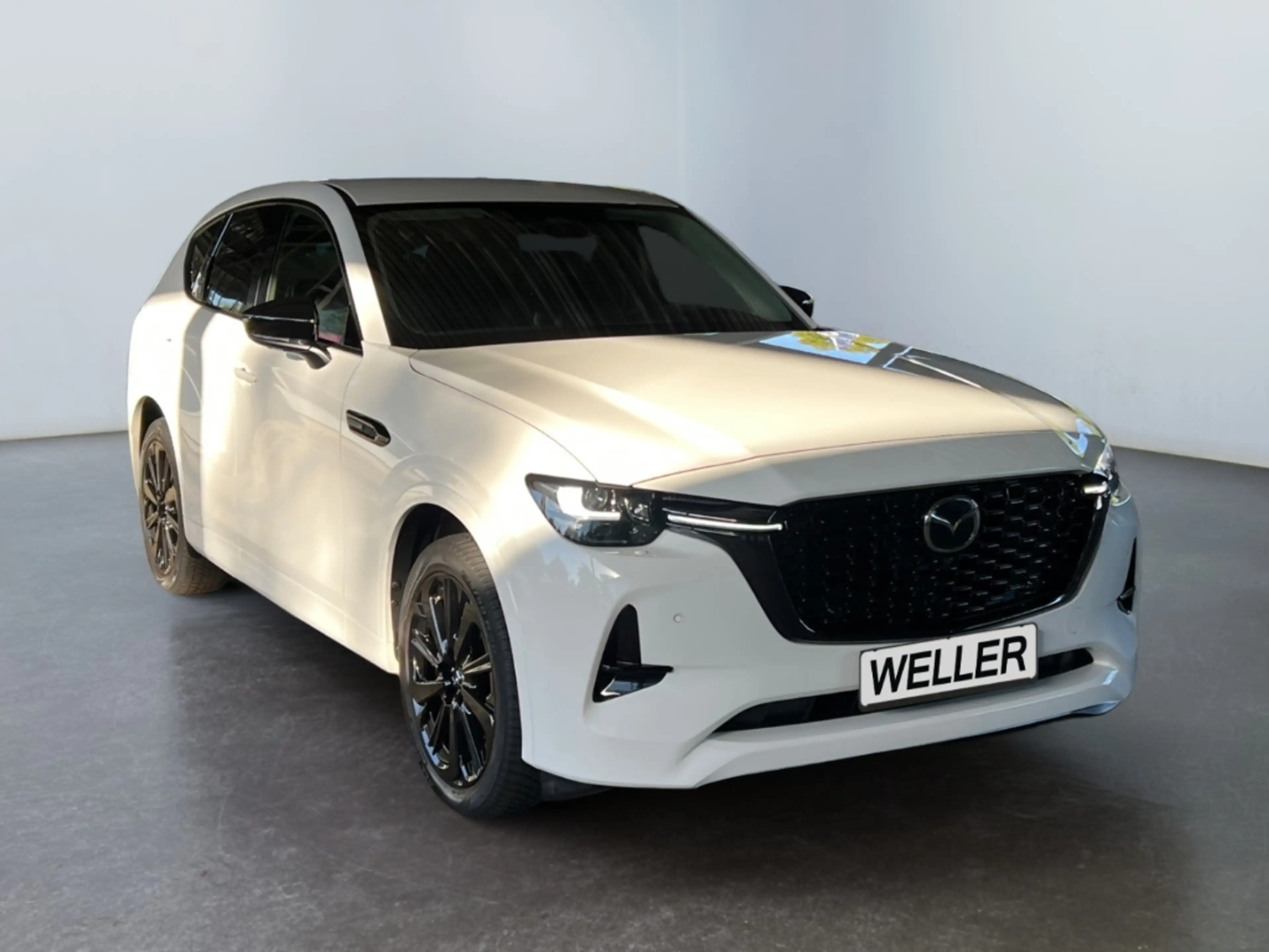 Mazda CX-60 3.3 e-SKYACTIV-D 254 Homura AWD *BOSE*AHK* — photo 3
