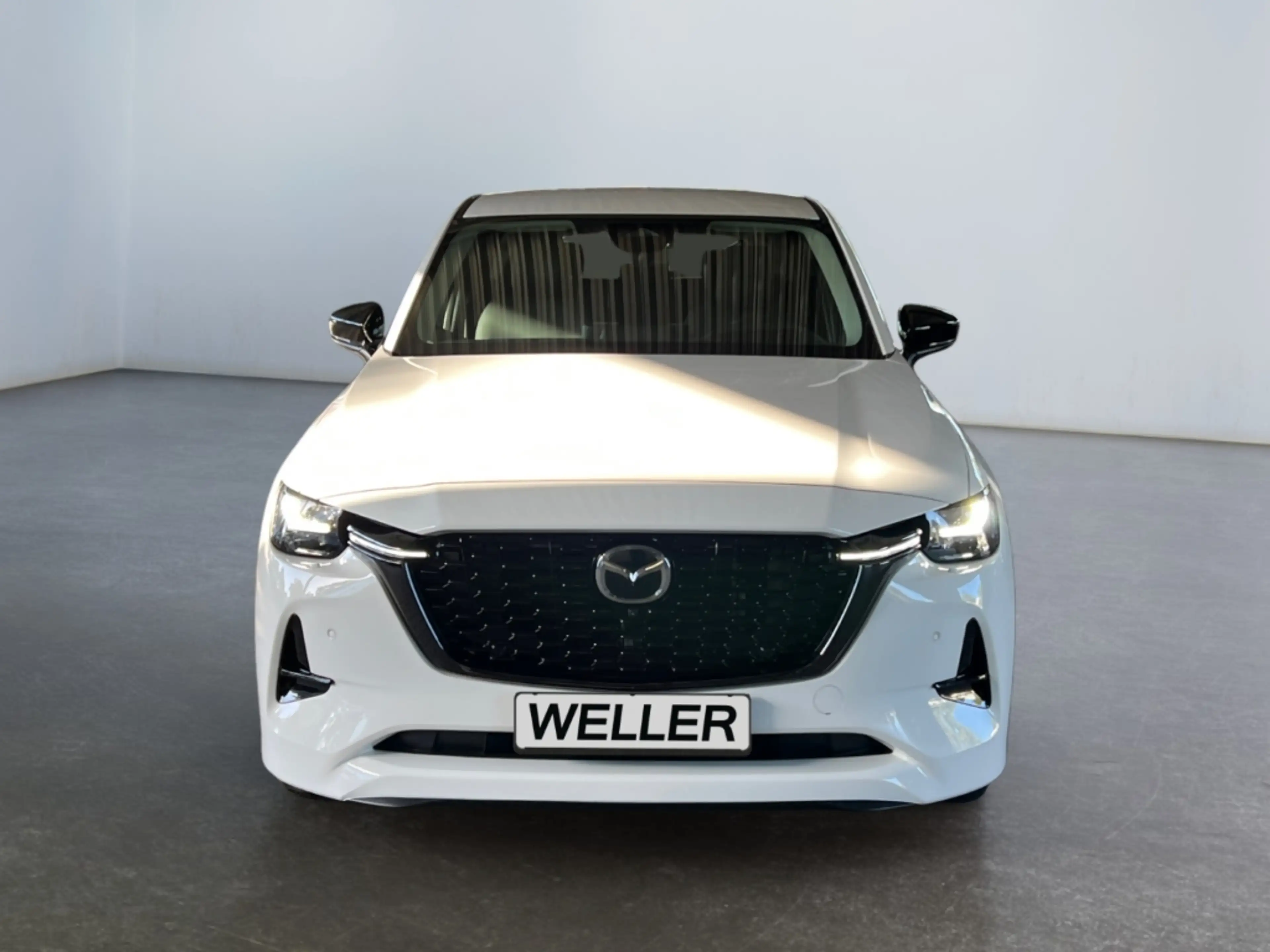 Mazda CX-60 3.3 e-SKYACTIV-D 254 Homura AWD *BOSE*AHK* — photo 2