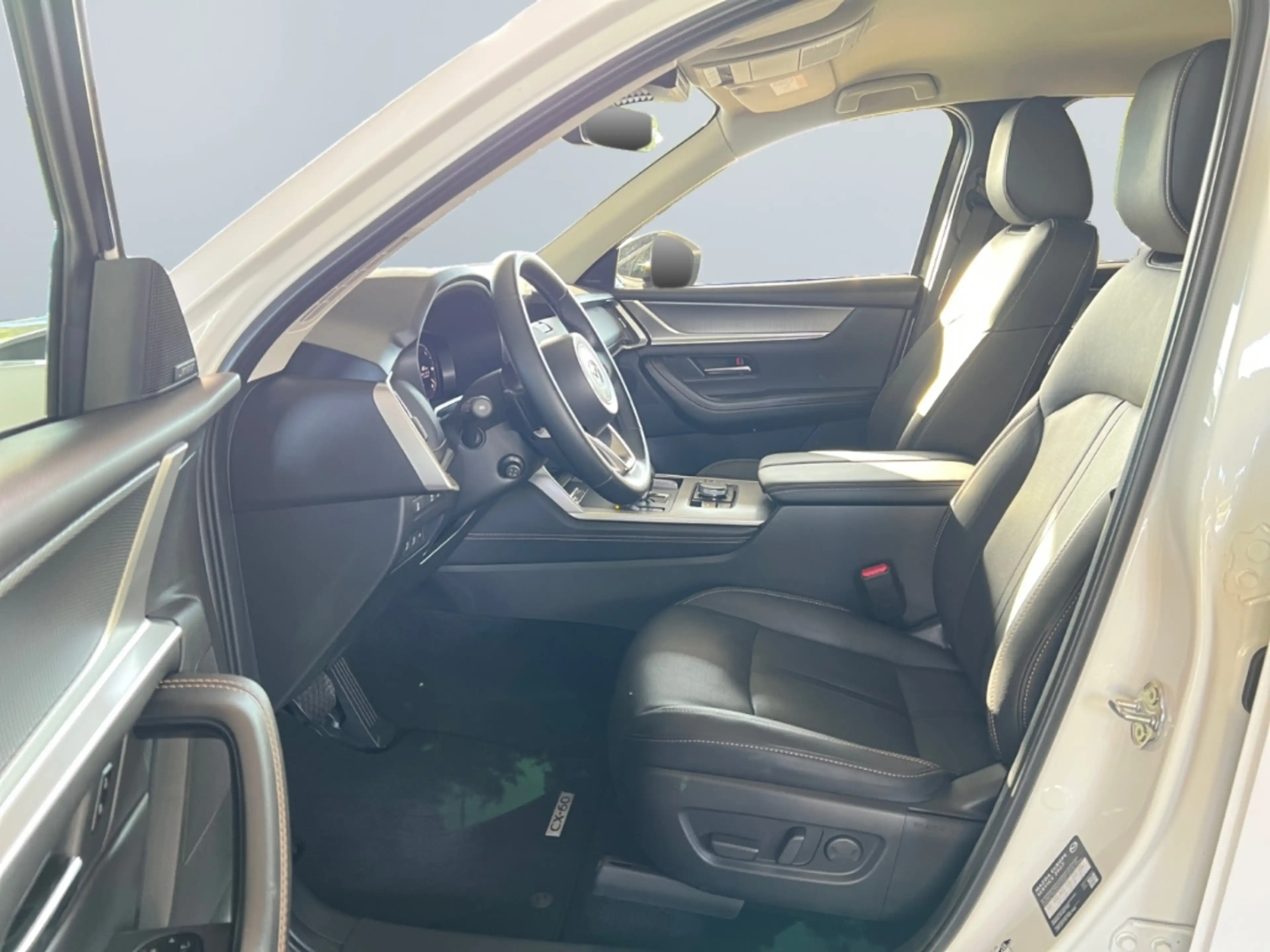 Mazda CX-60 3.3 e-SKYACTIV-D 254 Homura AWD *BOSE*AHK* — photo 9