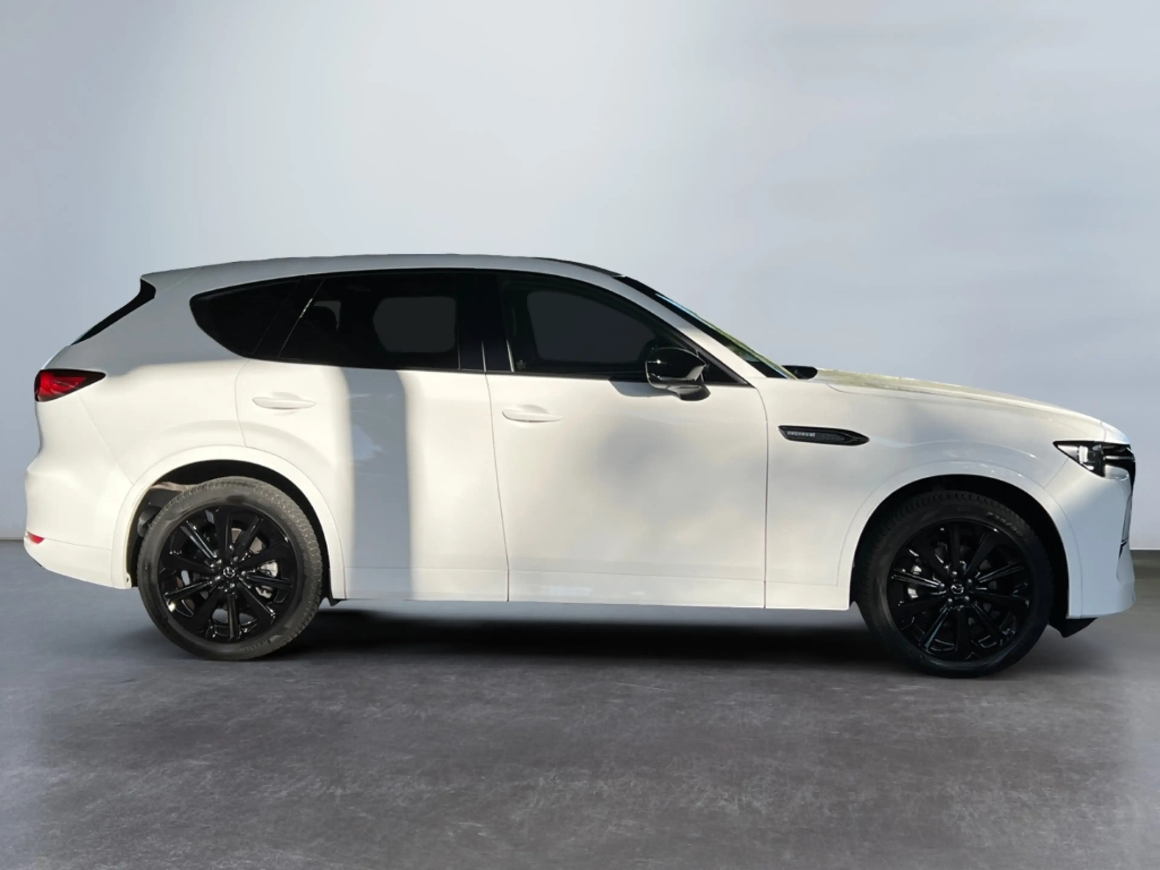 Mazda CX-60 3.3 e-SKYACTIV-D 254 Homura AWD *BOSE*AHK* — photo 10