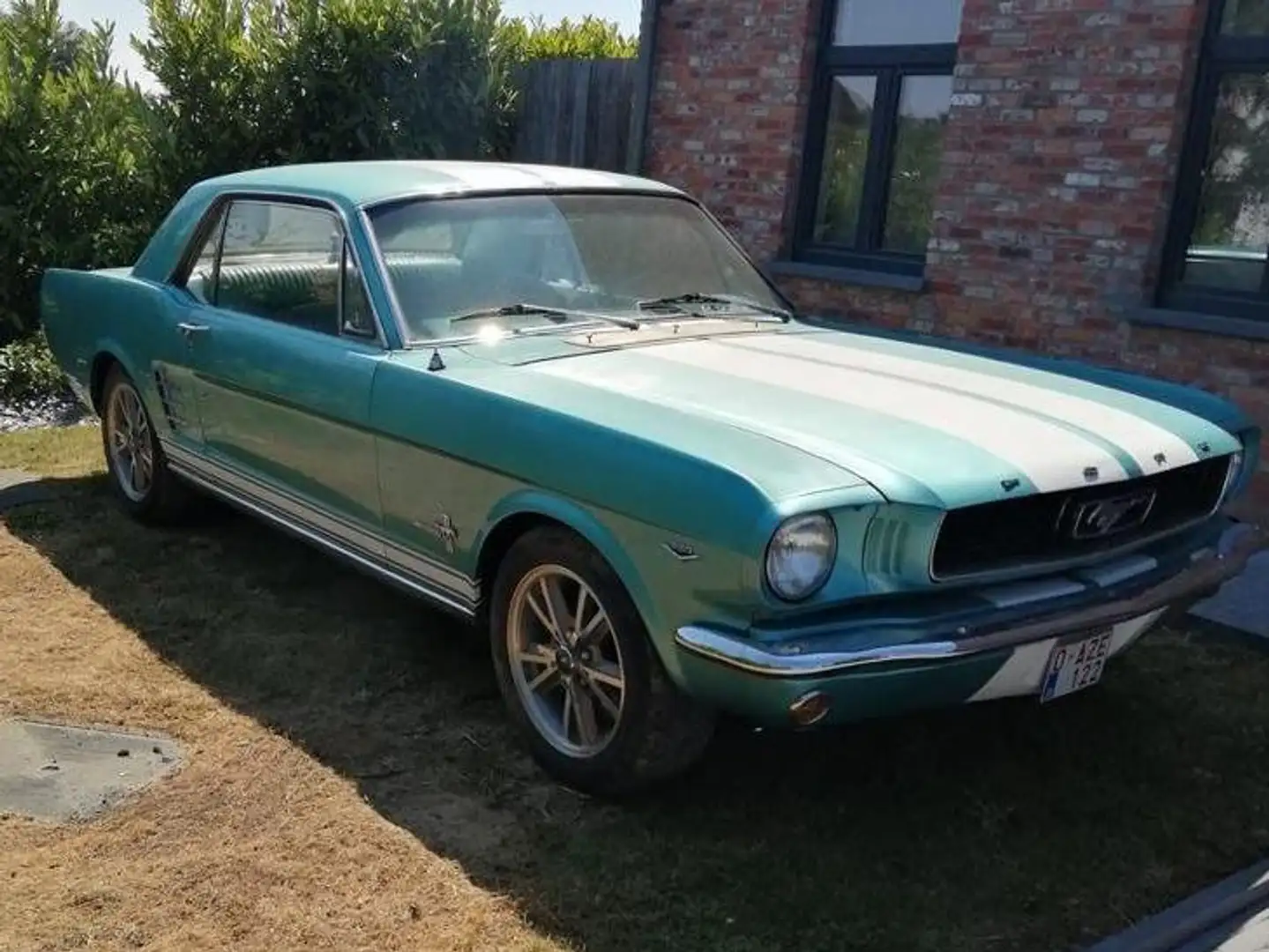 Ford Mustang coupé 1966 Bleu - 1