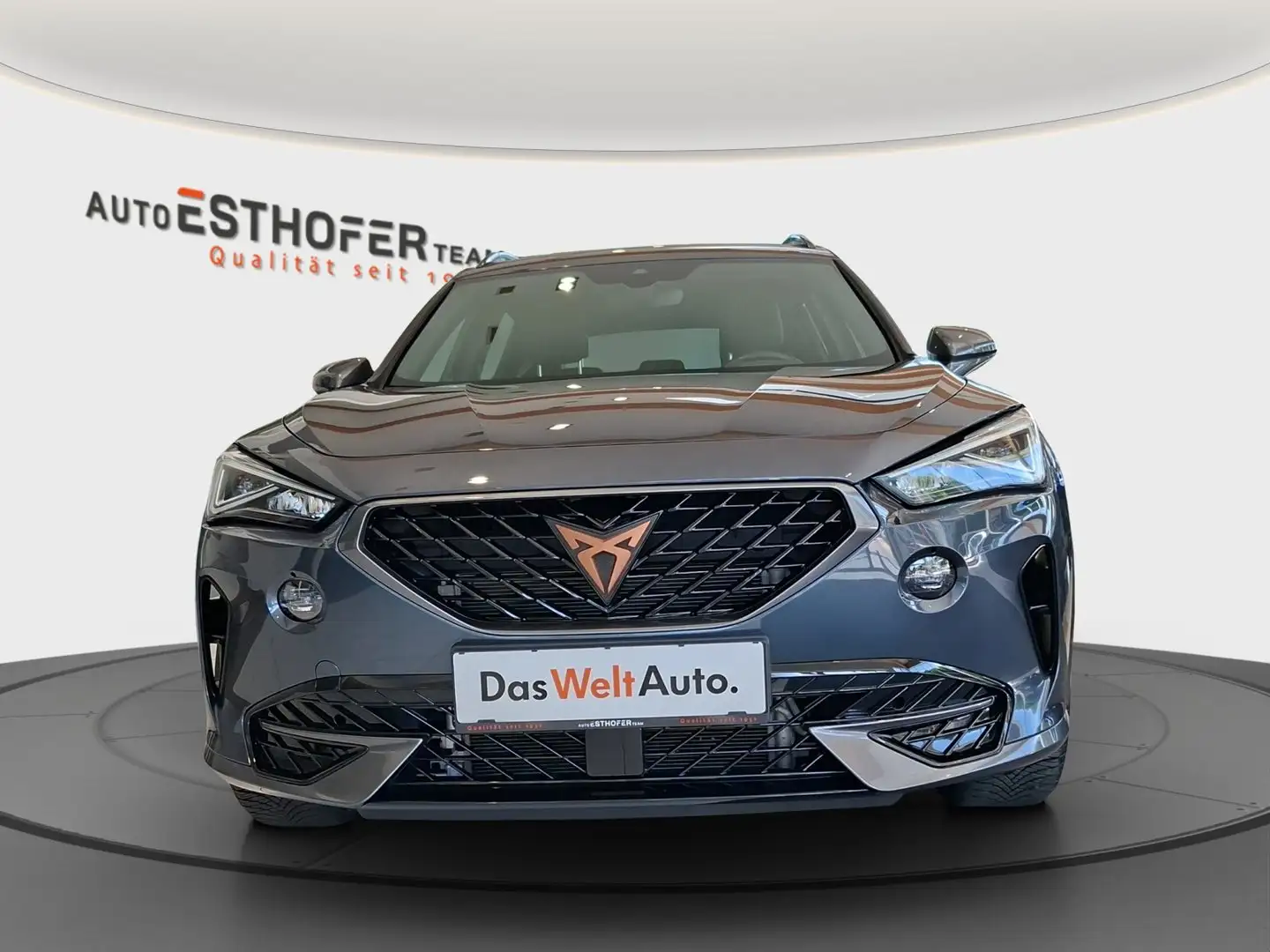 CUPRA Formentor TRIBE e-HYBRID 204 PS DSG Grau - 2