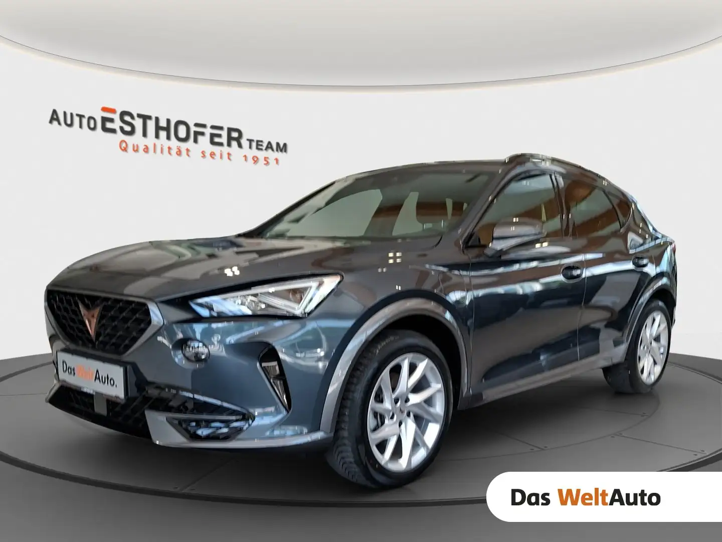 CUPRA Formentor TRIBE e-HYBRID 204 PS DSG Grau - 1
