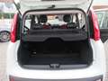 Fiat Panda 1.2 Easy *Sehr gepflegt* Weiß - thumbnail 11