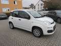 Fiat Panda 1.2 Easy *Sehr gepflegt* Weiß - thumbnail 14