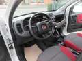 Fiat Panda 1.2 Easy *Sehr gepflegt* Weiß - thumbnail 2