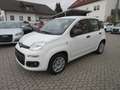 Fiat Panda 1.2 Easy *Sehr gepflegt* Weiß - thumbnail 1