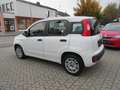 Fiat Panda 1.2 Easy *Sehr gepflegt* Weiß - thumbnail 5