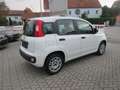 Fiat Panda 1.2 Easy *Sehr gepflegt* Weiß - thumbnail 9