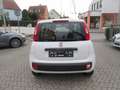 Fiat Panda 1.2 Easy *Sehr gepflegt* Weiß - thumbnail 7
