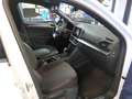 SEAT Tarraco FR 2.0 TDI DSG 4Drive LED NAVI AHK RFK Weiß - thumbnail 3