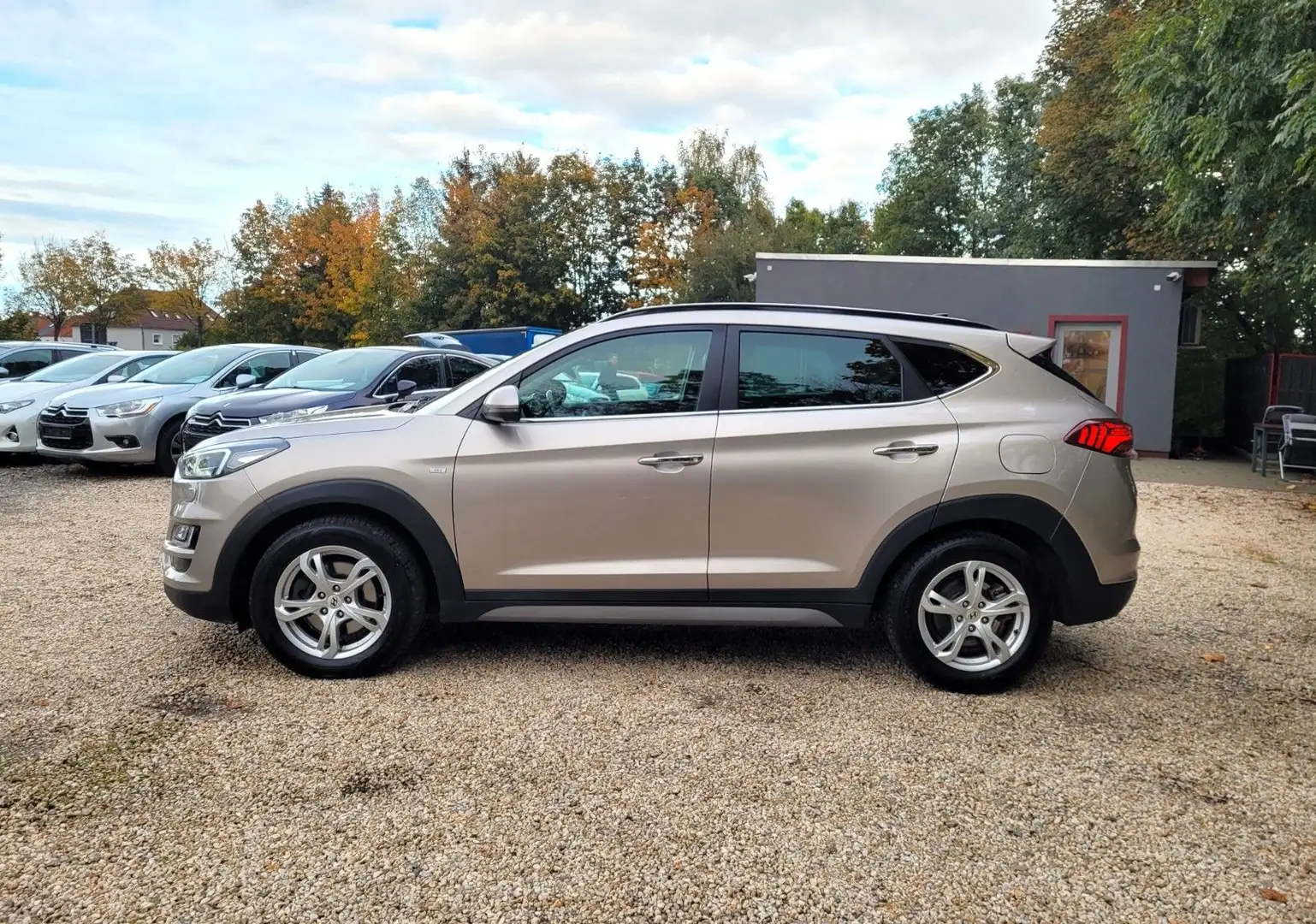Hyundai TUCSON Premium Mild-Hybrid 4WD*LMF*360°Cam*Navi* Beige - 2