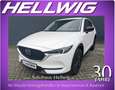 Mazda CX-5 2.2l Homura AWD Bose Matrix-LED 360° Kamera Blanc - thumbnail 1