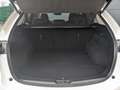 Mazda CX-5 2.2l Homura AWD Bose Matrix-LED 360° Kamera Blanc - thumbnail 24