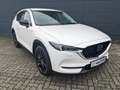 Mazda CX-5 2.2l Homura AWD Bose Matrix-LED 360° Kamera Blanc - thumbnail 3