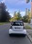 smart forTwo electric drive / EQ (453.391) Grau - thumbnail 6