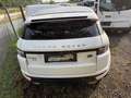 Land Rover Range Rover Evoque Weiß - thumbnail 2