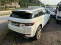 Land Rover Range Rover Evoque Weiß - thumbnail 3