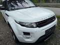 Land Rover Range Rover Evoque Weiß - thumbnail 4