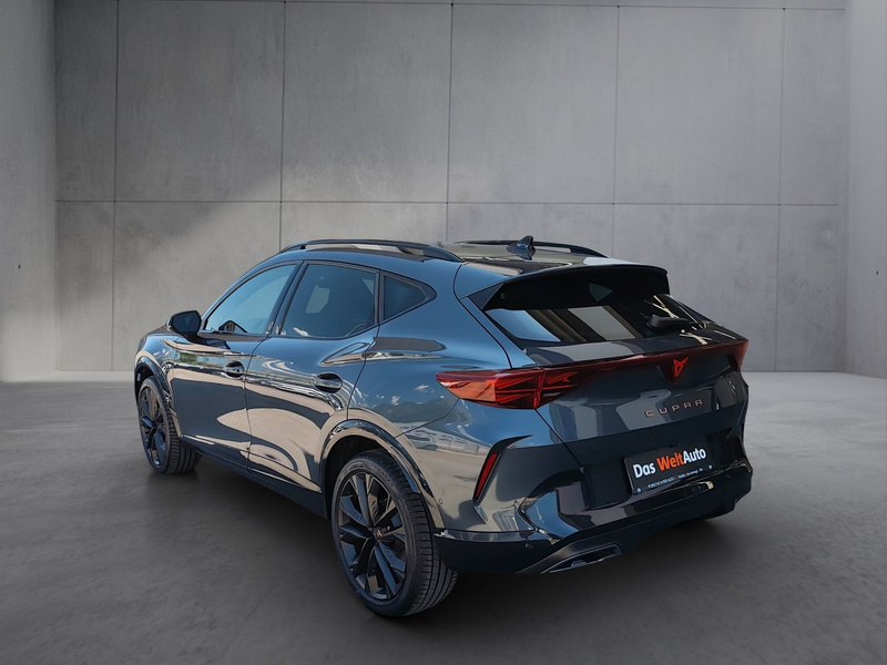 CUPRA Formentor 2.0 TDI 150 PS DSG — photo 4