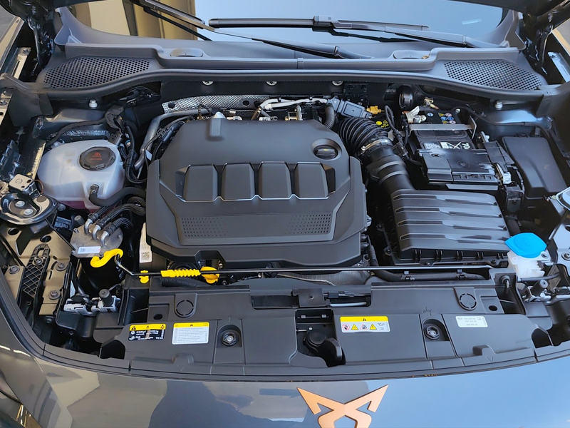 CUPRA Formentor 2.0 TDI 150 PS DSG — photo 15