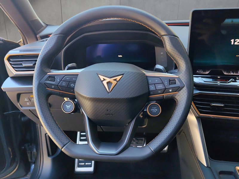 CUPRA Formentor 2.0 TDI 150 PS DSG — photo 8