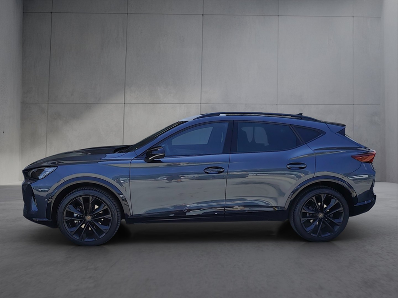 CUPRA Formentor 2.0 TDI 150 PS DSG — photo 3