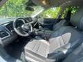 Nissan X-Trail 1.5 VC-T e.4ORCE 214PS 5S N-Trek SONDERMOD Schwarz - thumbnail 10