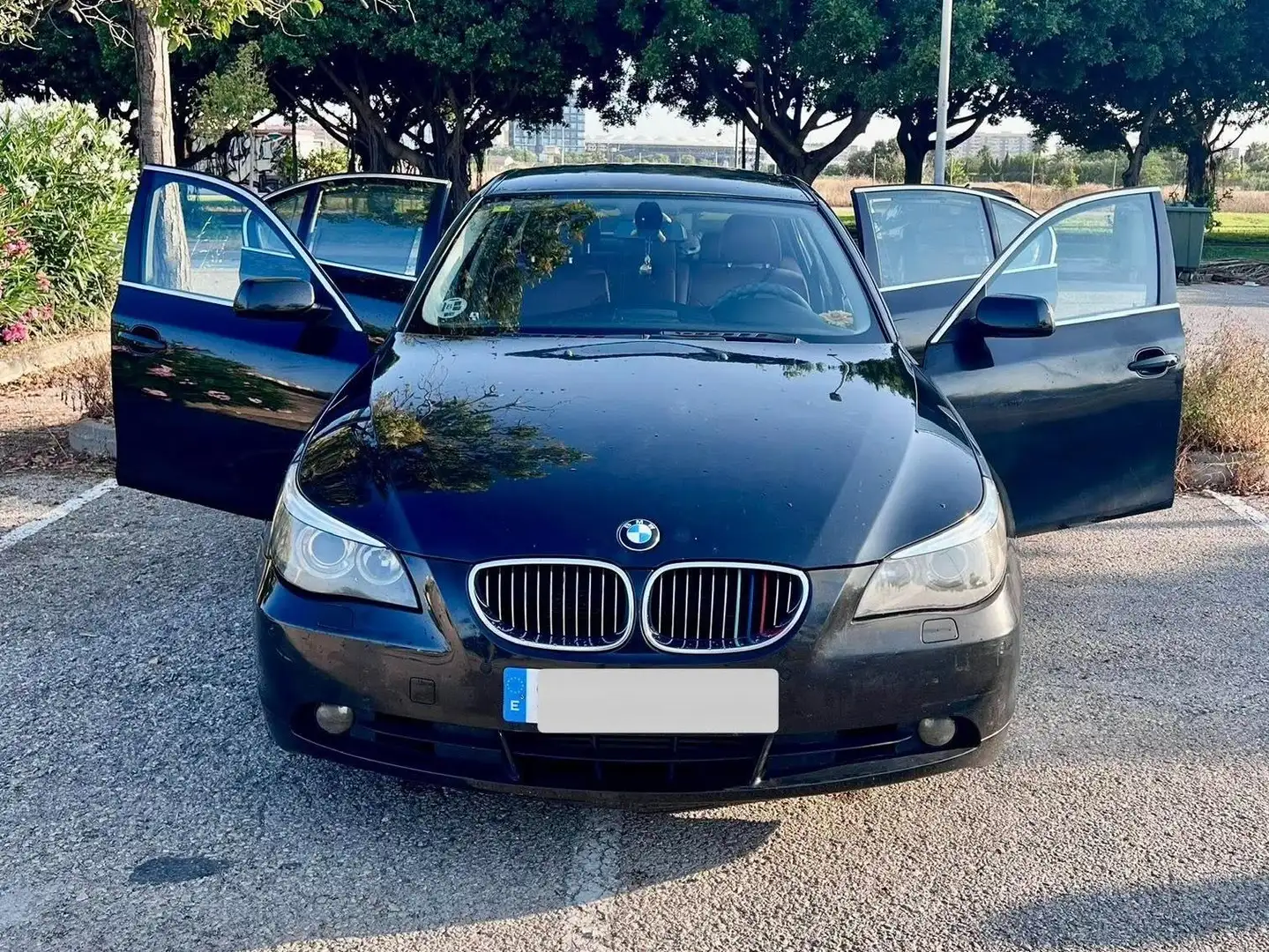 BMW 520 520d Negro - 1