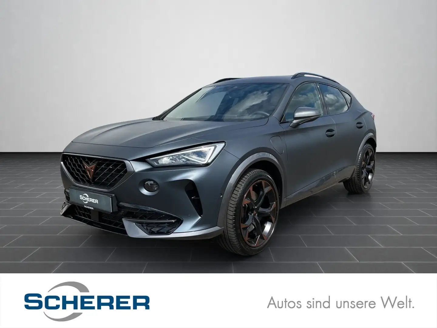 CUPRA Formentor VZ 1.4 eTSI Grau - 1