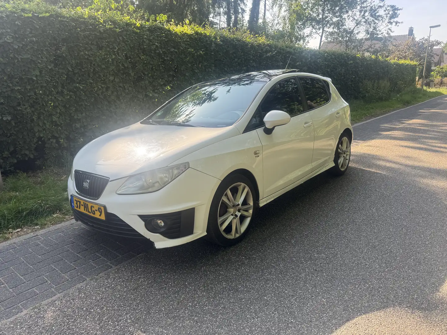 SEAT Ibiza 1.9 TDI Sport-up Wit - 1