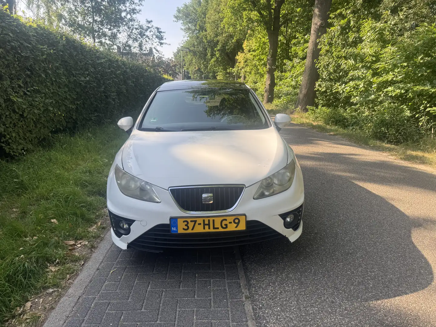SEAT Ibiza 1.9 TDI Sport-up Wit - 2