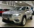 Jeep Cherokee 2.2 Mjt AWD Active Drive I 195cv 2020 4x4 Silber - thumbnail 1