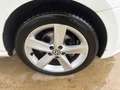 Volkswagen Polo 1.4 5P EURO 5 Highline AUTOMATICA CERCHI IN LEGA Blanc - thumbnail 14