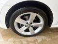 Volkswagen Polo 1.4 5P EURO 5 Highline AUTOMATICA CERCHI IN LEGA Blanc - thumbnail 17