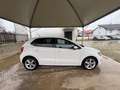 Volkswagen Polo 1.4 5P EURO 5 Highline AUTOMATICA CERCHI IN LEGA Blanc - thumbnail 8
