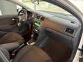 Volkswagen Polo 1.4 5P EURO 5 Highline AUTOMATICA CERCHI IN LEGA Blanc - thumbnail 23