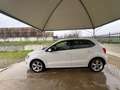 Volkswagen Polo 1.4 5P EURO 5 Highline AUTOMATICA CERCHI IN LEGA Blanc - thumbnail 7
