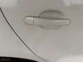 Volkswagen Polo 1.4 5P EURO 5 Highline AUTOMATICA CERCHI IN LEGA Blanc - thumbnail 13