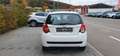 Chevrolet Aveo Schrägheck LS*TÜV-NEU*KLIMA* Weiß - thumbnail 7