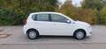 Chevrolet Aveo Schrägheck LS*TÜV-NEU*KLIMA* Weiß - thumbnail 4