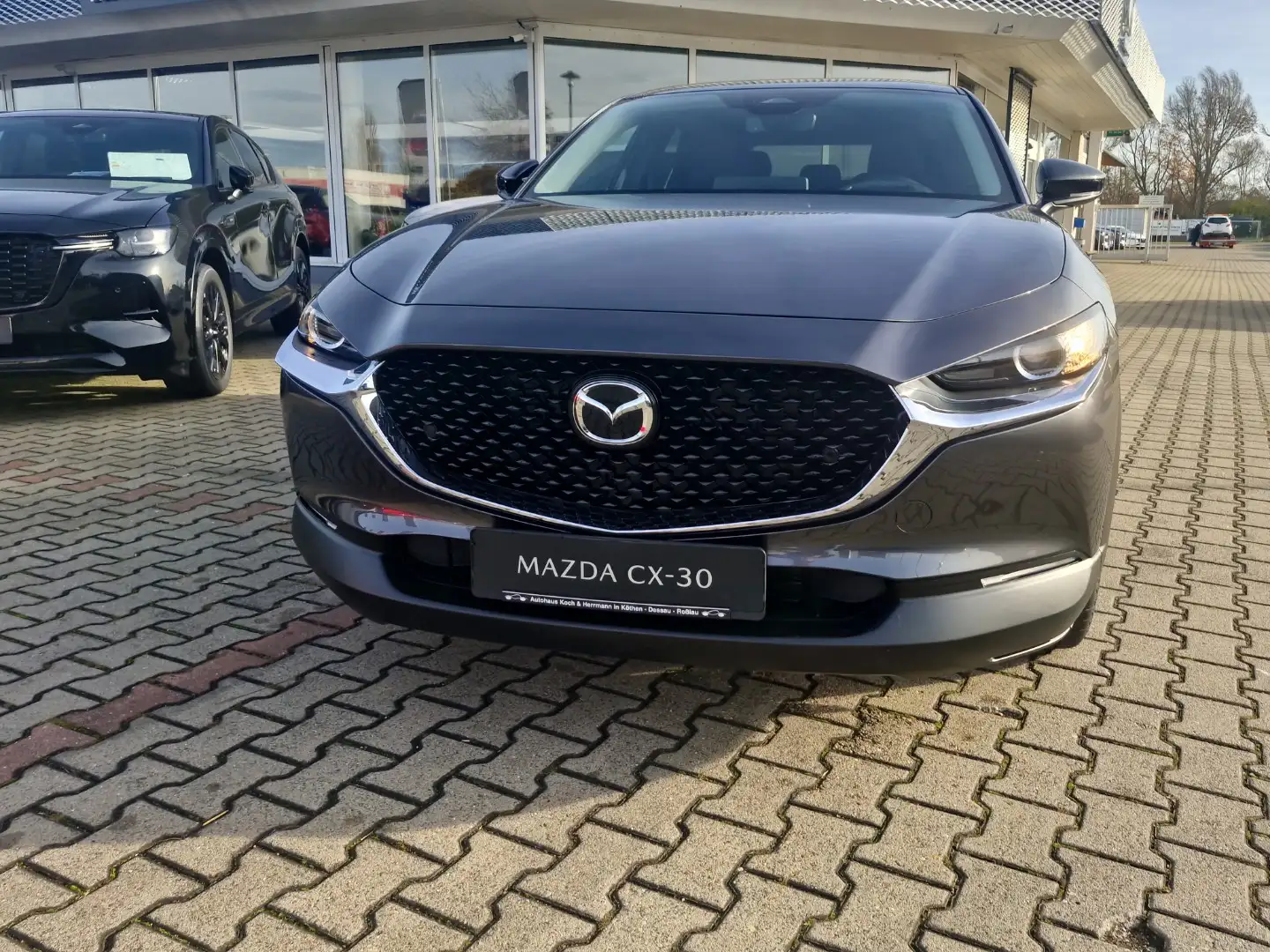 Mazda CX-30 2.5L e-SKYACTIV G 140ps Gris - 2