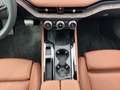 Skoda Superb L&K 2,0 TDI 110 kW DSG Negru - thumbnail 12