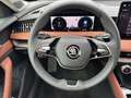 Skoda Superb L&K 2,0 TDI 110 kW DSG Negru - thumbnail 7