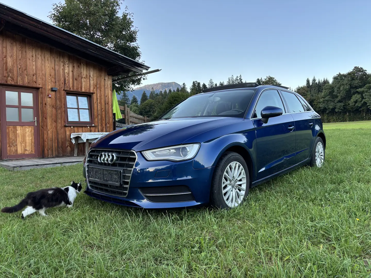 Audi A3 A3 SB Style 1,6 TDI DPF Style Blau - 1