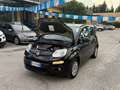 Fiat Panda " UNA CHICCA " Panda 1.2 Easy 69cv E6 - thumbnail 13