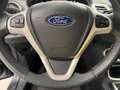 Ford Fiesta Fiesta 1.4 96 CV Automatica 5Pt Titanium Grigio - thumbnail 11