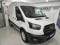 Ford Transit 330 2.0TDCi EcoBlue MHEV 130CV PM-TM Fu Bianco - thumbnail 1