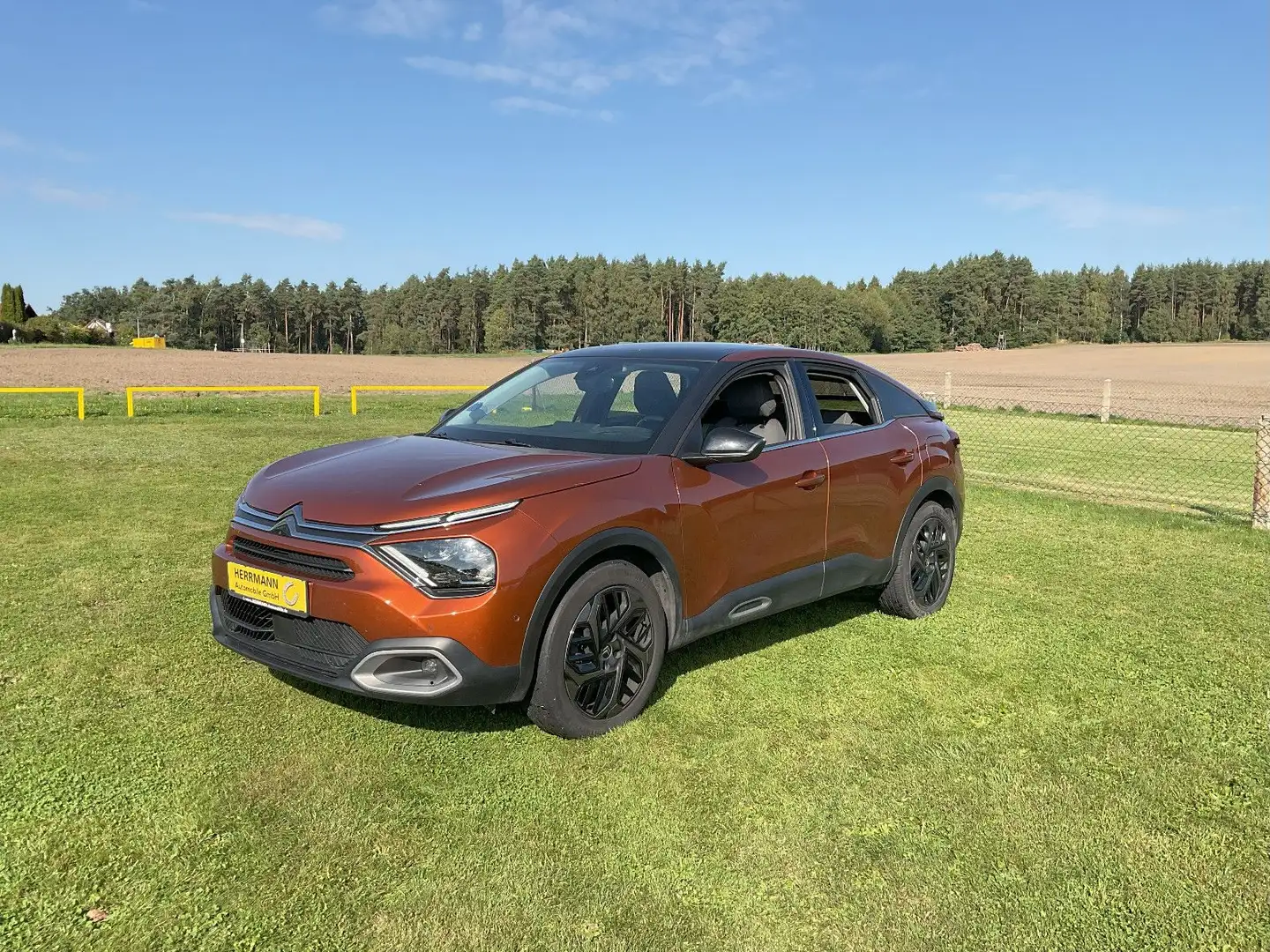 Citroen C4 Lim. Shine Automatik*AHK Orange - 1